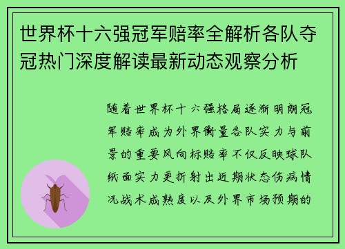 世界杯十六强冠军赔率全解析各队夺冠热门深度解读最新动态观察分析